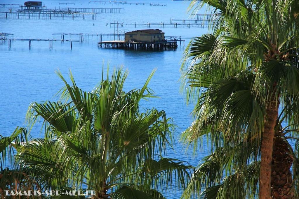 Port Tamaris, Le Troisieme Lägenhet La Seyne-sur-Mer Exteriör bild